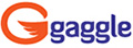 Gaggle Login